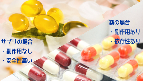 �������P�T�v�������g